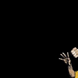 Fonds d&Bruce Lee : tous les wallpapers Bruce Lee