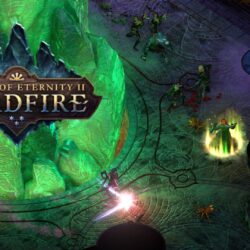 Pillars Of Eternity II Deadfire Heading To Consoles, Includes