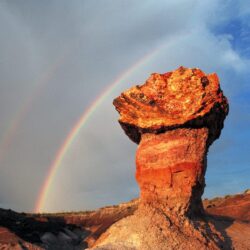 Wallpapers Pedestal Log Blue Mesa Petrified Forest National Park