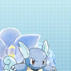 Wartortle iPhone 6 Wallpapers by JollytheDitto