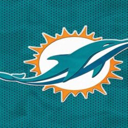 Dolphins Wallpapers Wallpapers