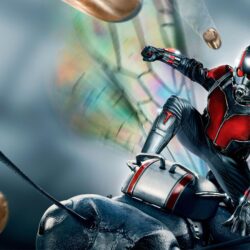 Best 50【Hank Pym Wallpapers】Free Download HD Image