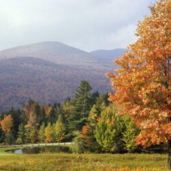 Download Wallpapers Park, Vermont, Trees, Autumn 4K Ultra