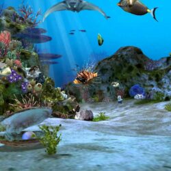 Amazingly Beautiful 3D Aquarium Live Wallpapers Wallpapers