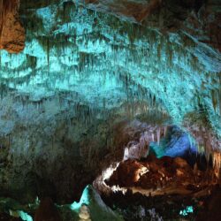 Cave Stalactites, Carlsbad Caverns National Park, New Mexico