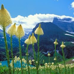 Glacier National Park wallpapers