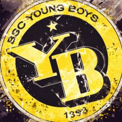 Download wallpapers BSC Young Boys, 4k, paint art, logo, creative