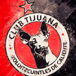 Download wallpapers Club Tijuana, 4k, paint art, creative, Mexican