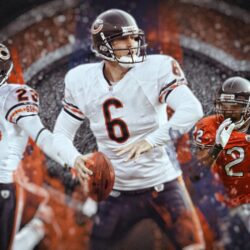 Free Chicago Bears desktop wallpapers