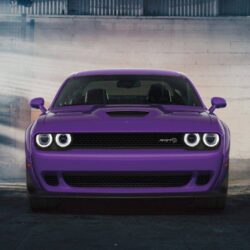 2019 Dodge Challenger purple color front side ultra hd wallpapers