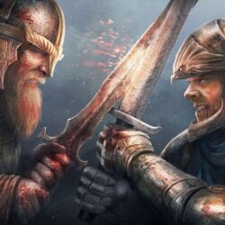 13 Age Of Empires II HD HD Wallpapers