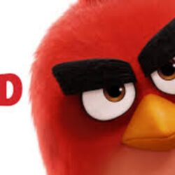 RED Angry Birds Movie Wallpapers, HD RED Angry Birds Movie