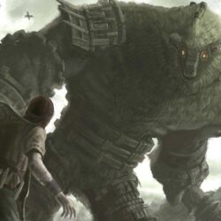 Shadow Of The Colossus, Wander, Video Games, Colossus, Creature