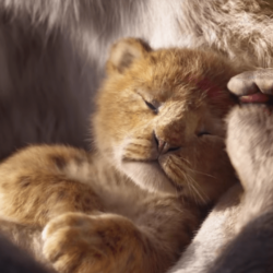 This ‘Lion King’ Remake Sure Looks Like the Old ‘Lion King’