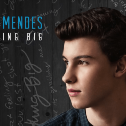 Shawn Mendes –
