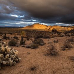 joshua tree national park wallpapers and backgrounds