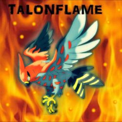 Talonflame by ZoruaDrawings.deviantart on @deviantART