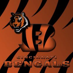 HD Cincinnati Bengals Wallpapers