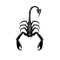 Free Download Scorpion Wallpapers