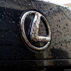 Lexus Logo Wallpapers ✓ Lexus Car