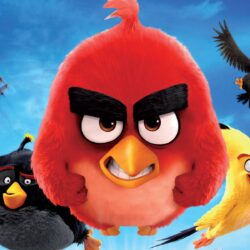 2016 Angry Birds Movie Wallpapers