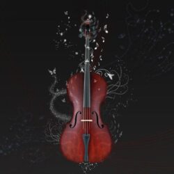Cello Wallpapers Photo 22287 HD Pictures