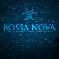 Bossa Nova : wallpapers