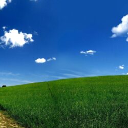 clouds, landscapes, grass, meadows, roads, skyscapes :: Wallpapers