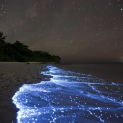 The Glittering Sea of Stars – Vaadhoo