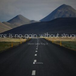 Martin Luther King Jr. Quote: “There is no gain without struggle