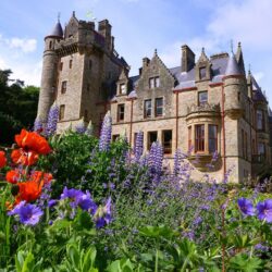 Medieval: Belfast Castle Ireland Flowers Backgrounds Pictures for
