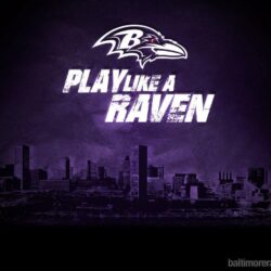 Pretty Baltimore Ravens Wallpapers Hd