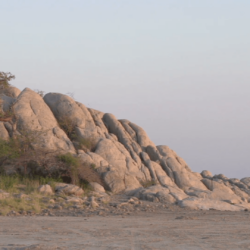 Panning shot of Makgadikgadi Pans and the edge of Kubu Island