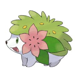 Shaymin image Shaymin HD wallpapers and backgrounds photos