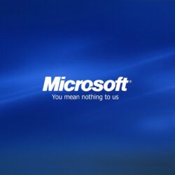 6 Microsoft Wallpapers