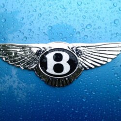 Download Bentley Logo Iphone