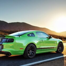 2015 Shelby GT350 Price Dell Walllpaper