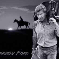 Harrison Ford Wallpapers, 41 Harrison Ford Backgrounds Collection