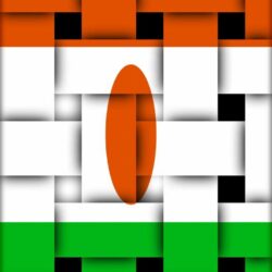 Niger flag에 관한 상위 25개 이상의 Pinterest 아이디어