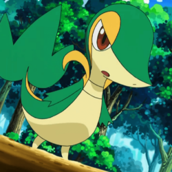 Snivy image Snivy HD wallpapers and backgrounds photos