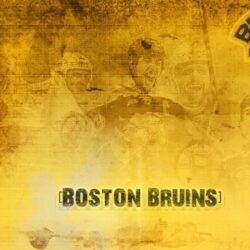 Boston Bruins wallpapers
