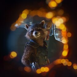 Wallpapers Rocket Raccoon, Baby Groot, Guardians of the Galaxy Vol