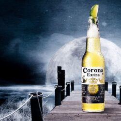 Corona Extra Orange White Moon HD Wallpapers Pi Wallpapers