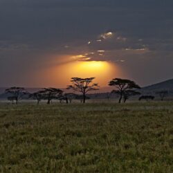 Sunset kenya africa Wallpapers