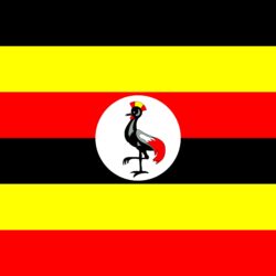 Image Uganda Flag Stripes