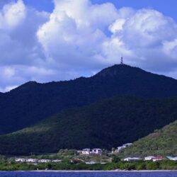 Wild Nature Wild Antigua and Barbuda