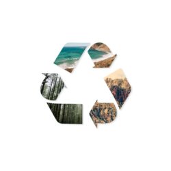 Desktop Wallpapers Challenge: Download Earth Day Desktop Wallpapers