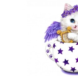 Angel Kitten HD Wallpapers