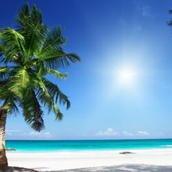 Sunny Beach ❤ 4K HD Desktop Wallpapers for 4K Ultra HD TV • Tablet