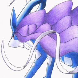 Suicune image Suicune HD wallpapers and backgrounds photos